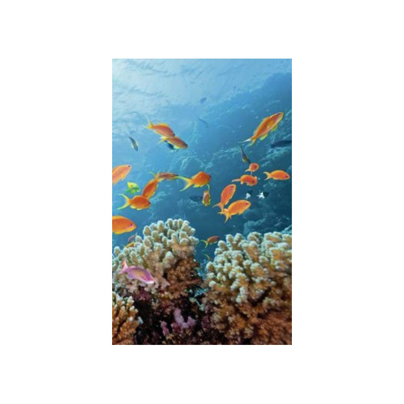 SEABED Wall hanging - Blue tapestry wall hanging