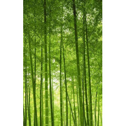 BAMBOO FOREST Wall hanging