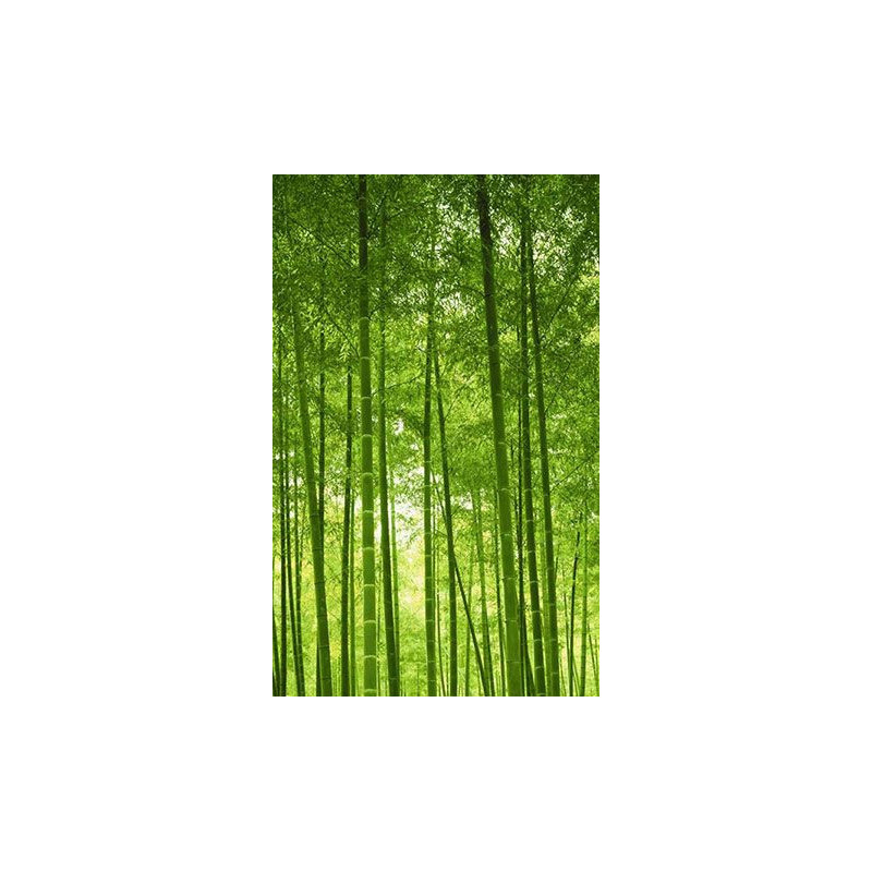 BAMBOO FOREST Wall hanging - Nature landscape wall hanging tapestry