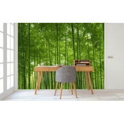 BAMBOO FOREST Poster