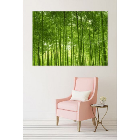 BAMBOO FOREST Canvas print
