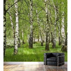 BIRCH FOREST Poster