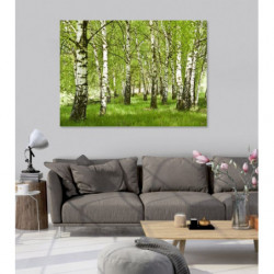 BIRCH FOREST Canvas print