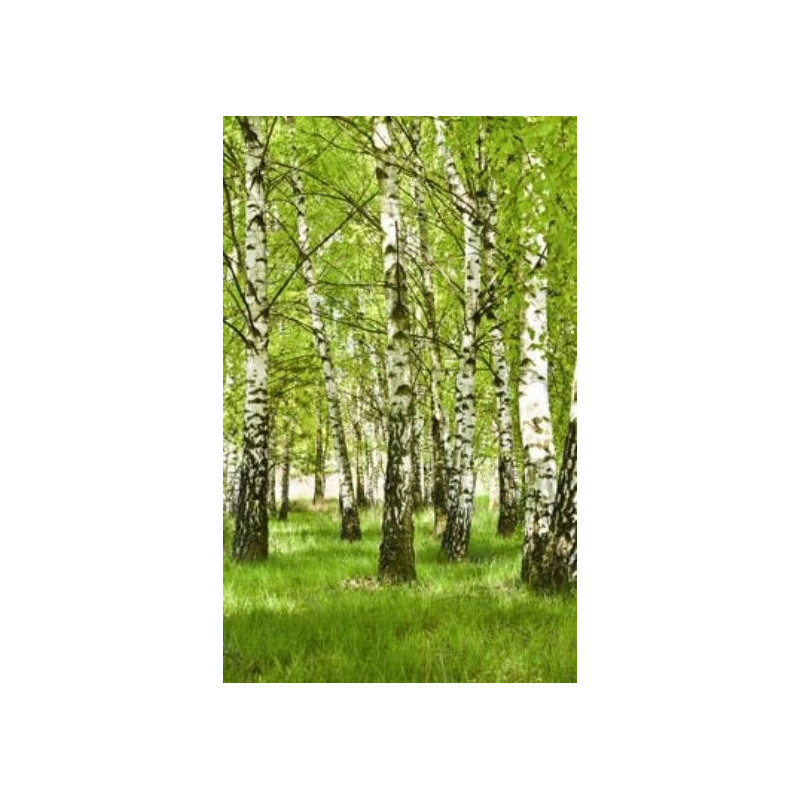 BIRCH FOREST Wall hanging - Nature landscape wall hanging tapestry