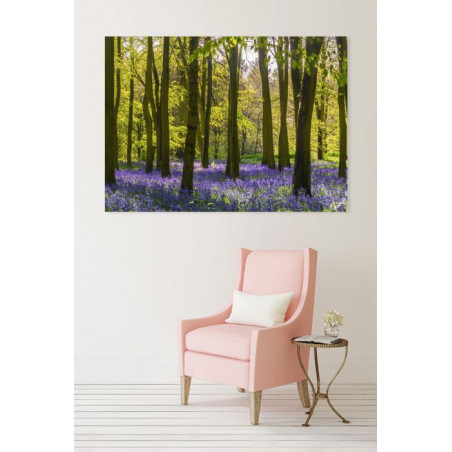 HYACINTH FOREST Canvas print