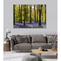 HYACINTH FOREST Canvas print