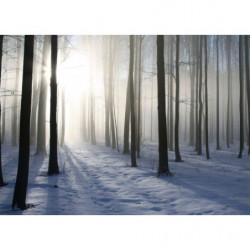 Tableau FORET D'HIVER