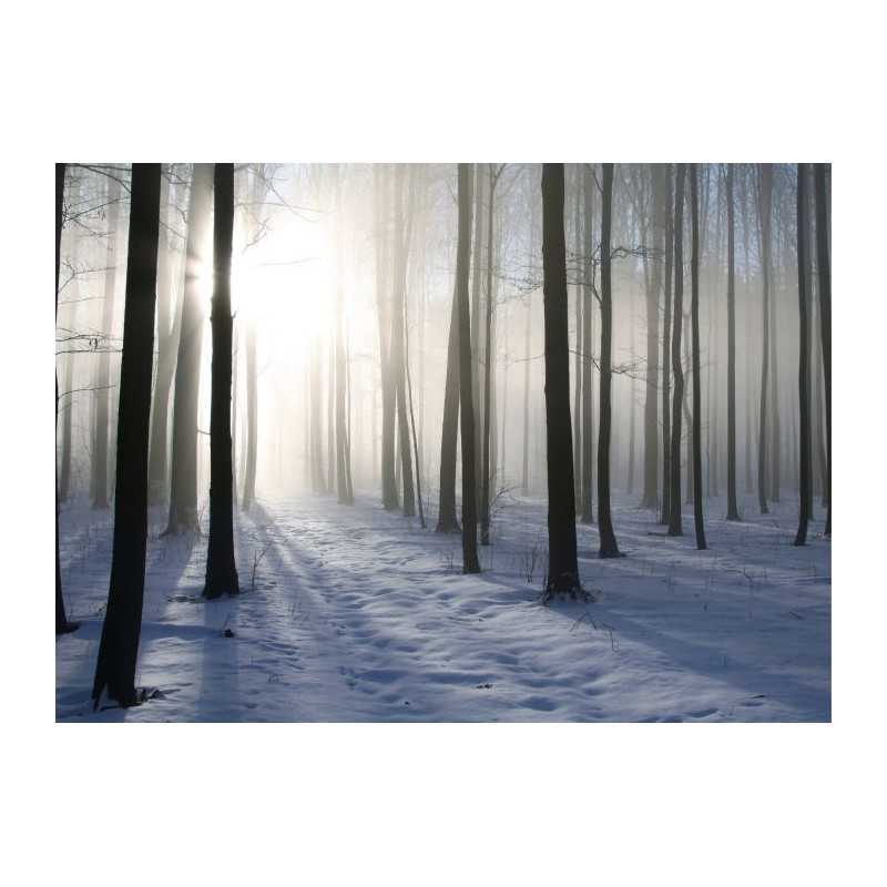 WINTER FOREST canvas print - Forest canvas print