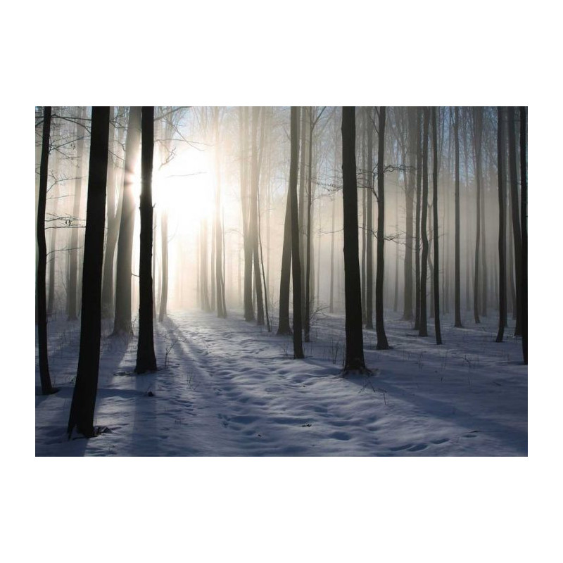 WINTER FOREST poster - Giant poster