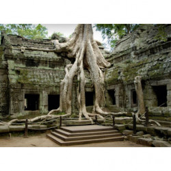 ANGKOR REMAINS canvas print