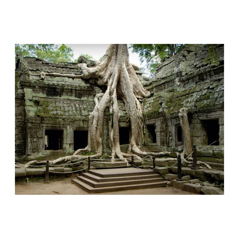 Tableau ANGKOR VESTIGES - Tableaux xxl