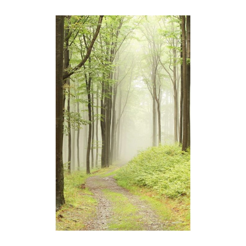 MYSTERIOUS FOREST Wall hanging - Nature landscape wall hanging tapestry