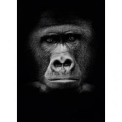 GORILLA Canvas print