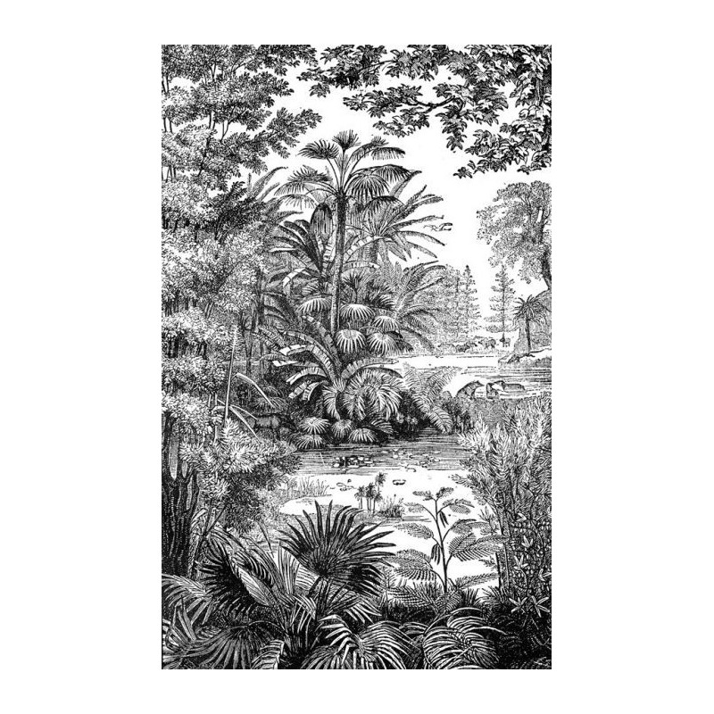 ANTIQUE ENGRAVING Wallpaper - Black and white wallpaper