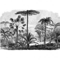 PALM TREE ENGRAVING Wallpaper