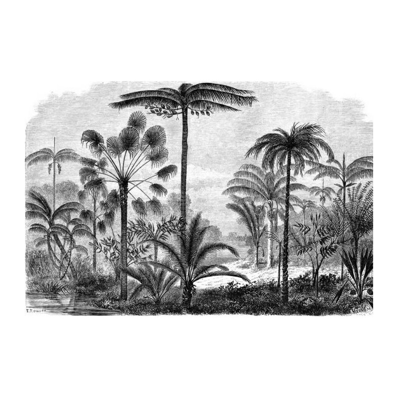 PALM TREE ENGRAVING Poster - Panoramic poster