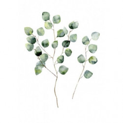 Tableau GREEN EUCALYPTUS