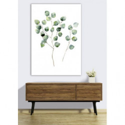 GREEN EUCALYPTUS canvas print