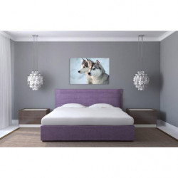 HUSKY Canvas print