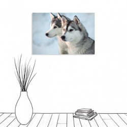 HUSKY Canvas print