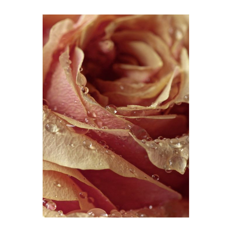 Tableau INVITATION - Tableau rose