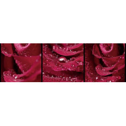 ISPAHAN canvas print