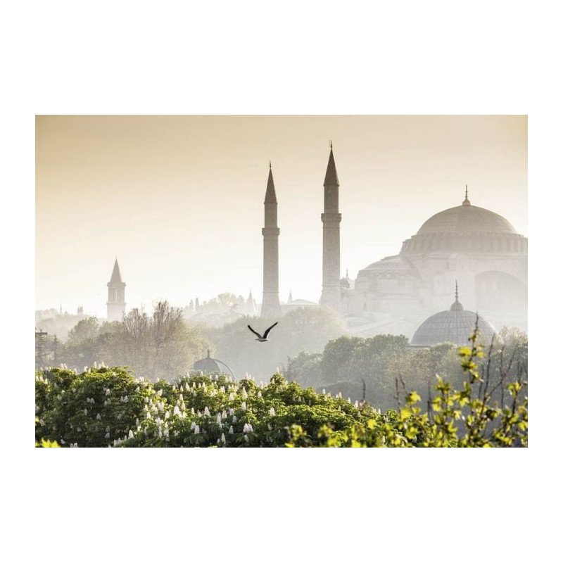 ISTANBUL wallpaper - Panoramic wallpaper