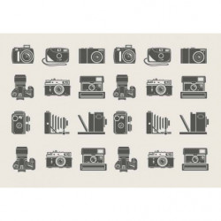 VINTAGE CAMERAS canvas print