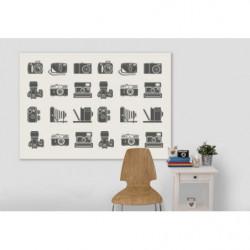 VINTAGE CAMERAS canvas print