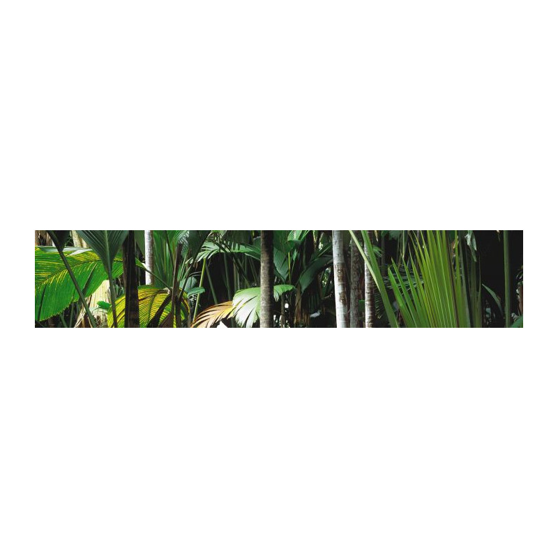 JUNGLE Privacy screen - Printed nature landscape privacy screen