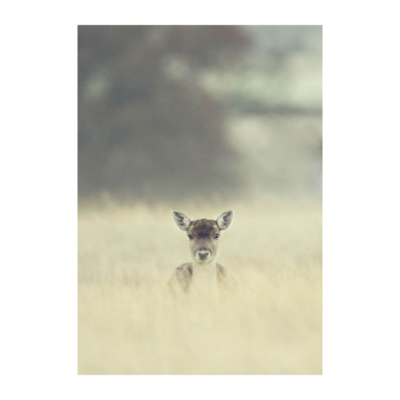 THE BICHE canvas print - Nature landscape