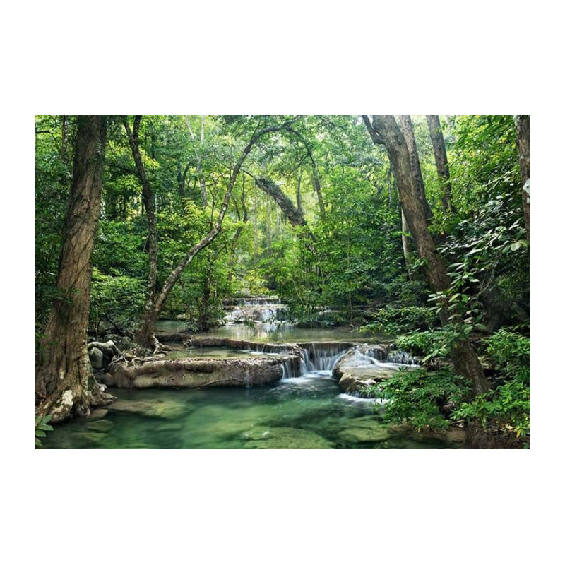 THE EMERALD FOREST Poster - Panoramic poster