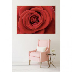 PASSION canvas print