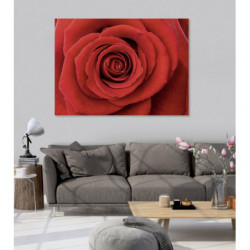 PASSION canvas print