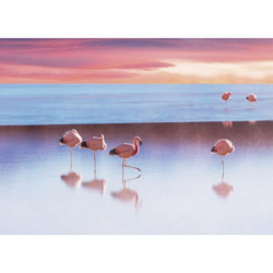 LAKE WITH THE PINK FLAMINGOS Canvas print