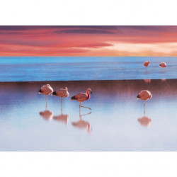 Poster LE LAC AUX FLAMANTS ROSES