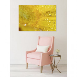 ARLES canvas print