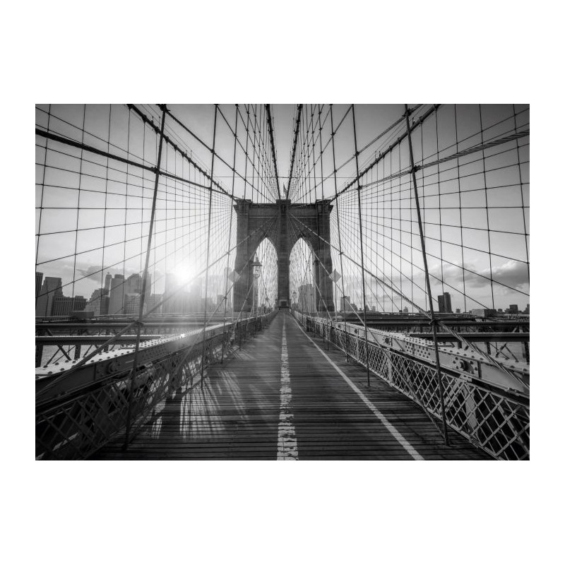 ALONG THE CABLES Canvas print - Black white canvas print