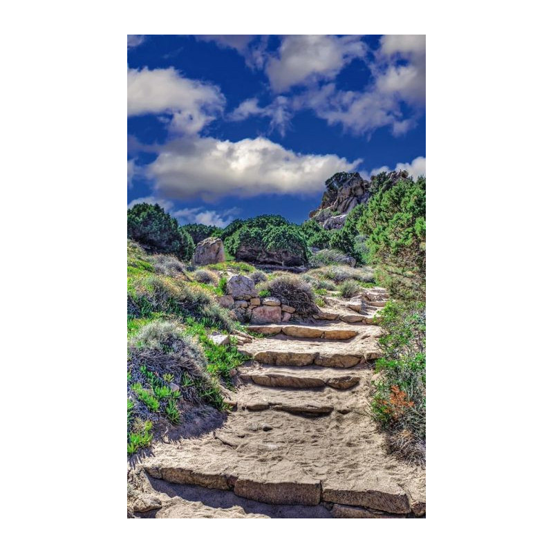 THE MAQUIS wall hanging - Nature landscape wall hanging tapestry