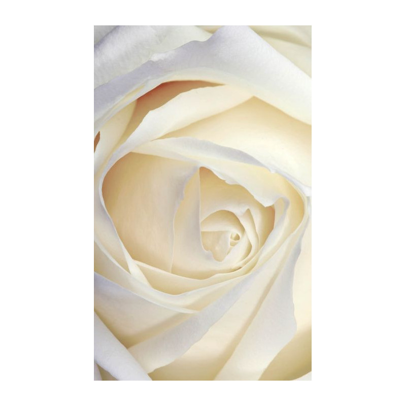 WHITE ROSE wall hanging - Nature landscape wall hanging tapestry