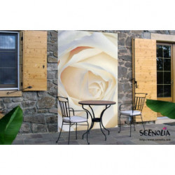 WHITE ROSE privacy screen