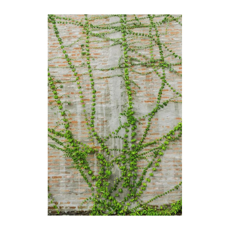 LIANA wall hanging - Nature landscape wall hanging tapestry