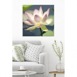 LOTUS Canvas print