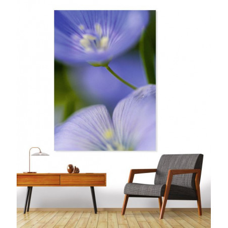 MAJORELLE Canvas print