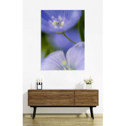 MAJORELLE Canvas print