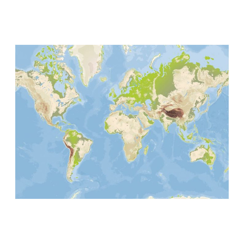 MAPPEMONDE canvas print - World map