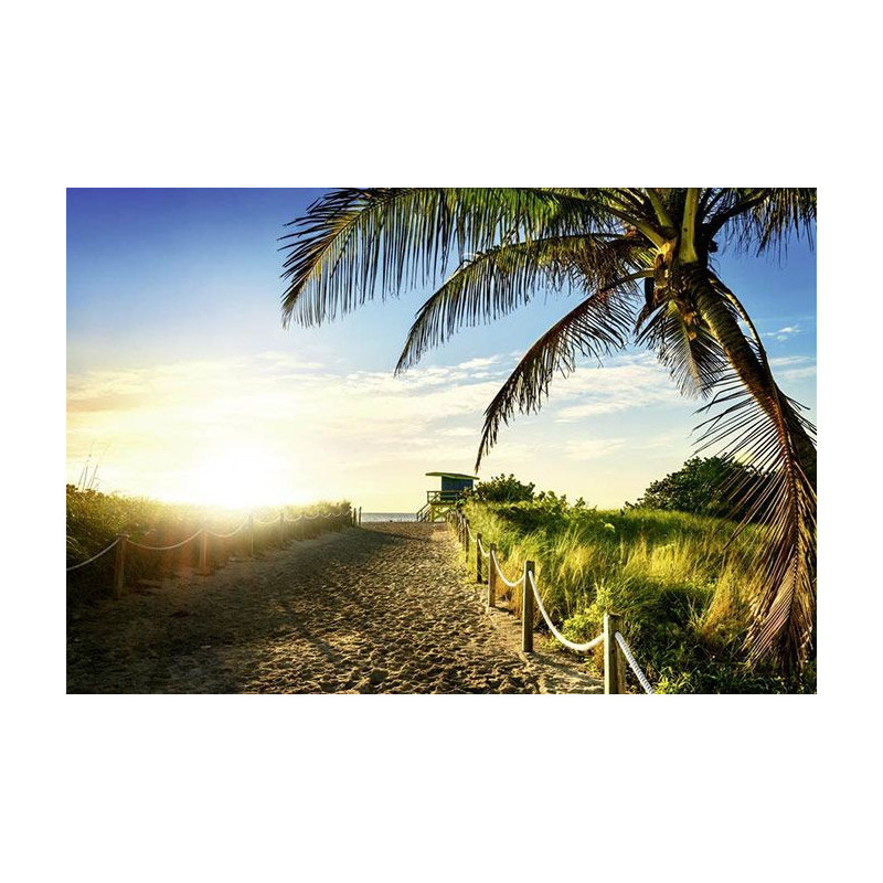 MIAMI BEACH poster - Panoramic poster