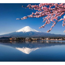 MOUNT FUJI Poster