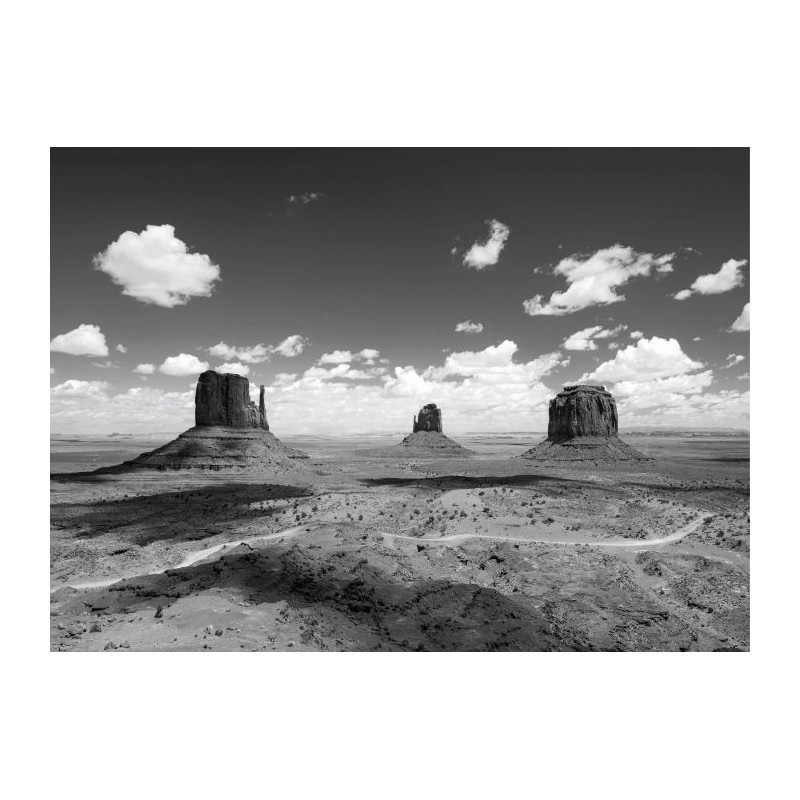 Tableau MONUMENT VALLEY NB - Tableaux xxl