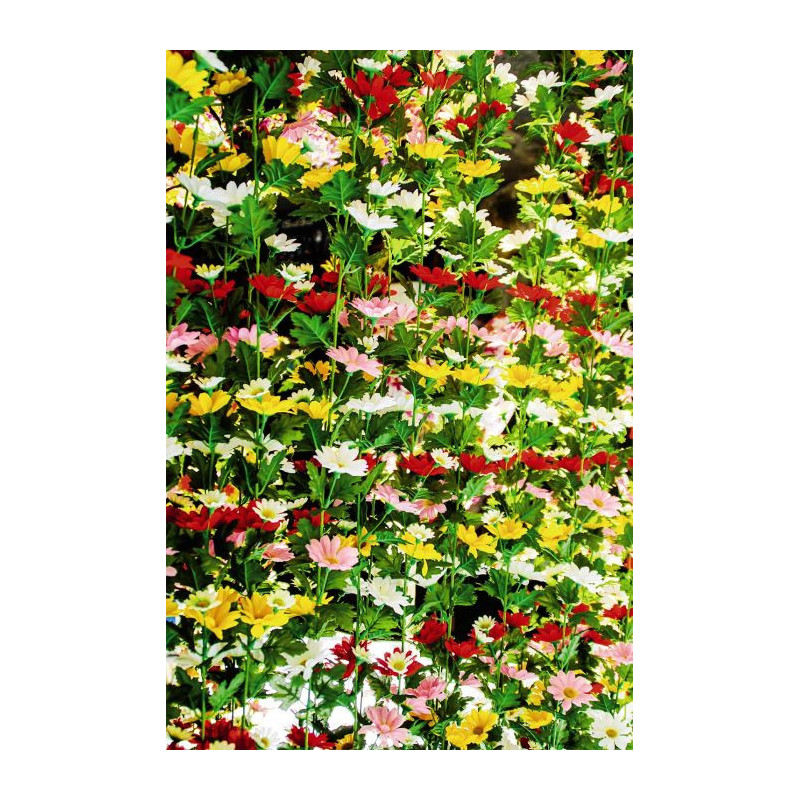 FLOWERED WALL privacy screen - Printed floral privacy screen